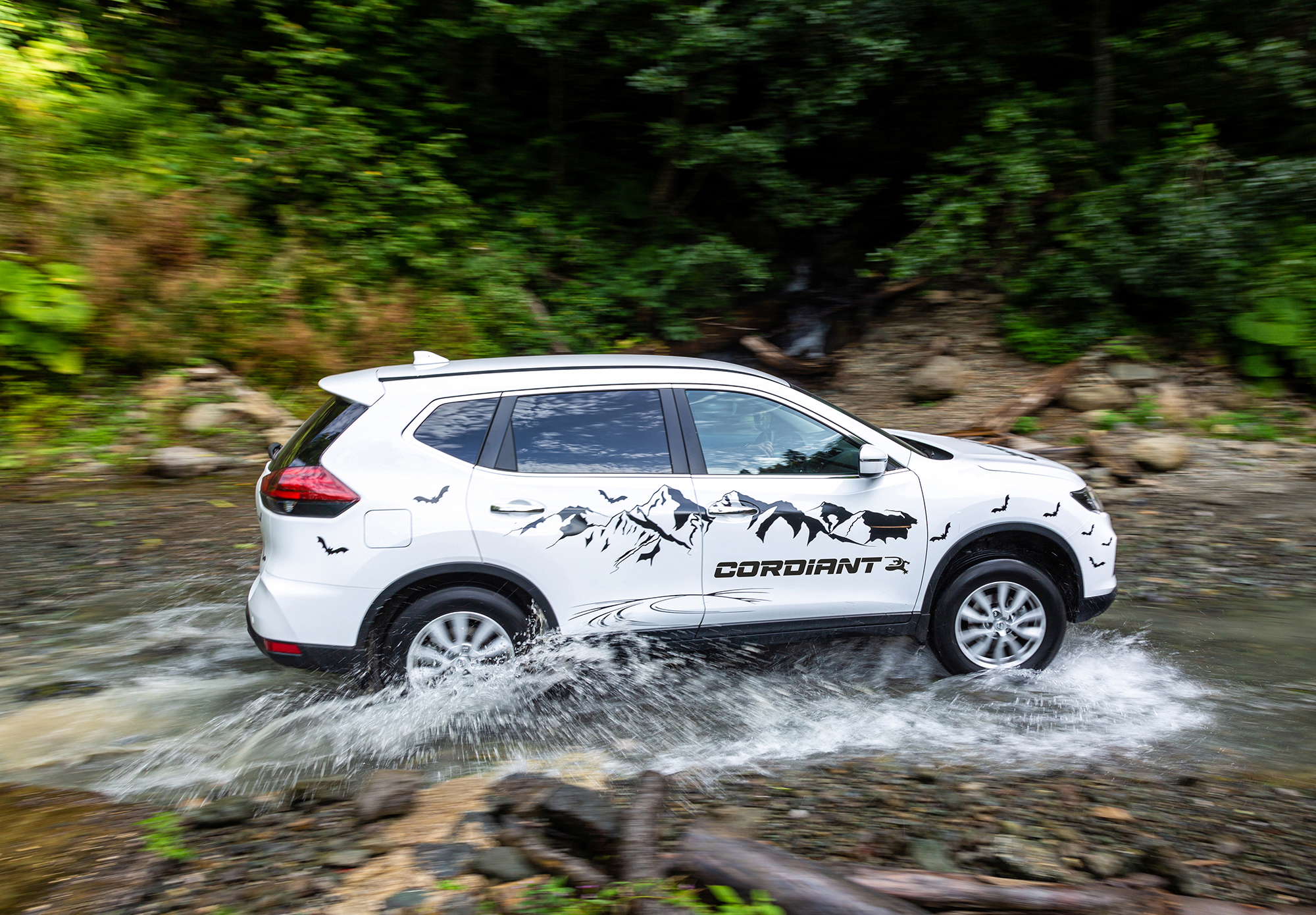 Российские дороги и условия эксплуатации шин Cordiant